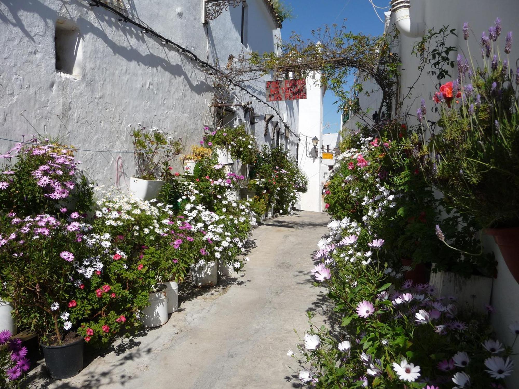 Vivienda Turistica De Alojamiento Rural Silla Vieja เวเฮร์ เด ลา ฟรอนเตรา ภายนอก รูปภาพ